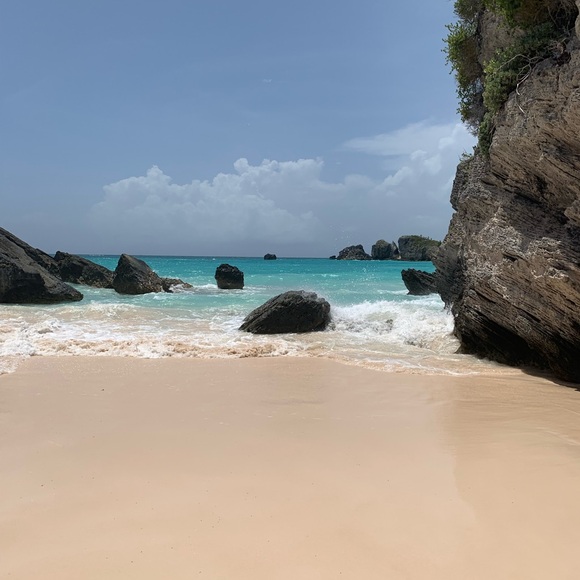 Meet your Posher, Perry - Picture 1 of 1